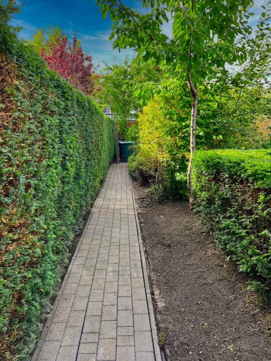 Gartenimpression Einfamilienhaus Halstenbek