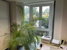 Lage im Hochparterre Gepflegte B�rofl�che an der Kieler Stra�e in Hamburg Stellingen