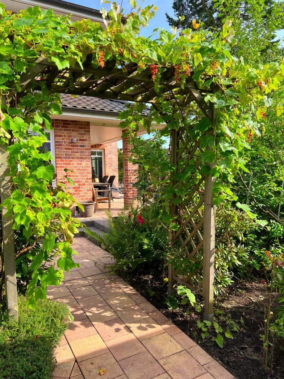 Gartenimpression Einfamilienhaus Halstenbek