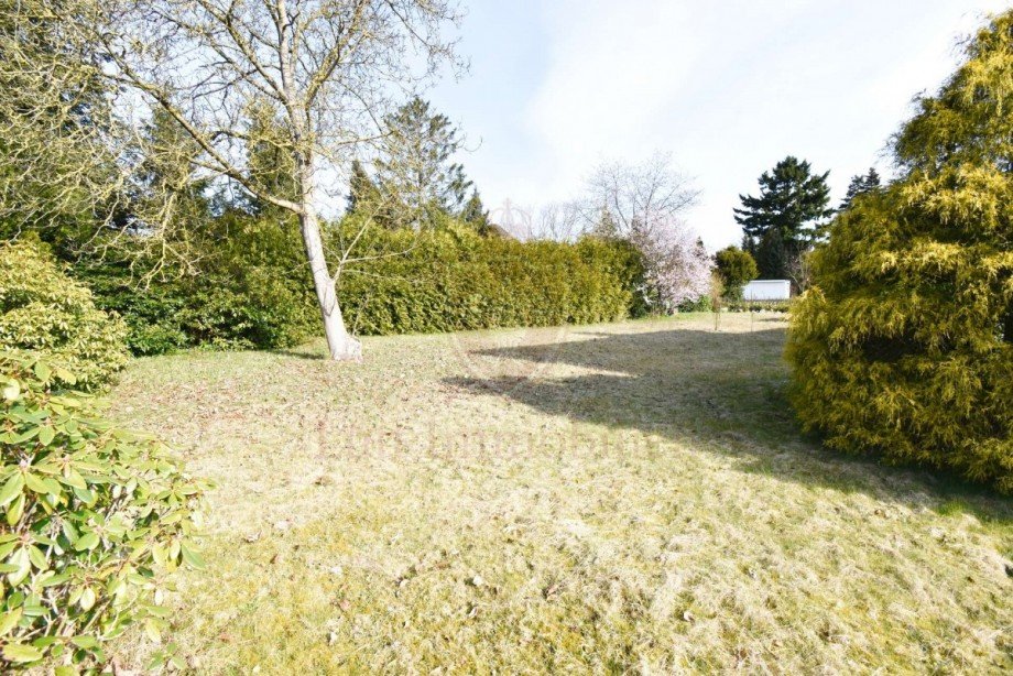 Garten II Einfamilienhaus Hartenholm