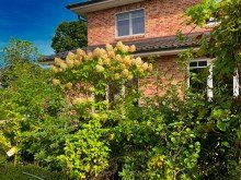 Gartenimpression Luxuri�se Toskana Villa in ruhiger Lage von Halstenbek